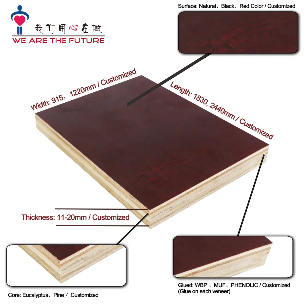 Greentrend WBP Finger Joint Construction Plywood Plywood Film Faced Plywood