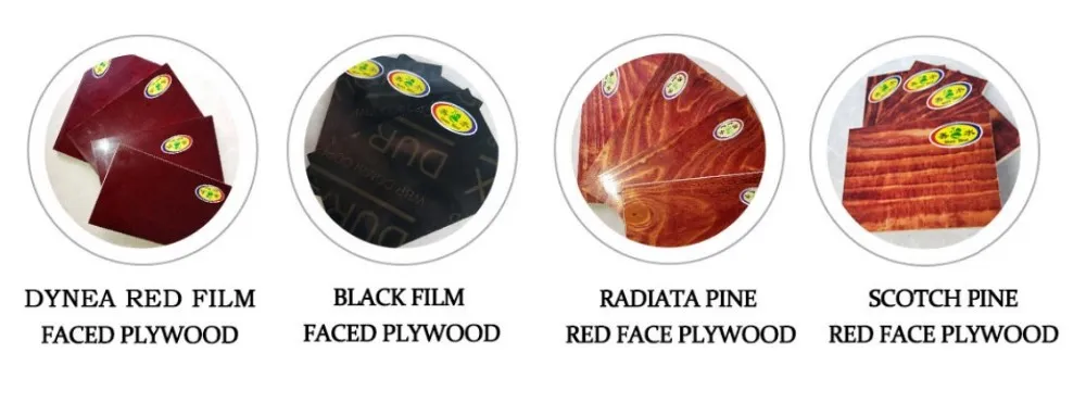 Greentrend WBP Finger Joint Construction Plywood Plywood Film Faced Plywood