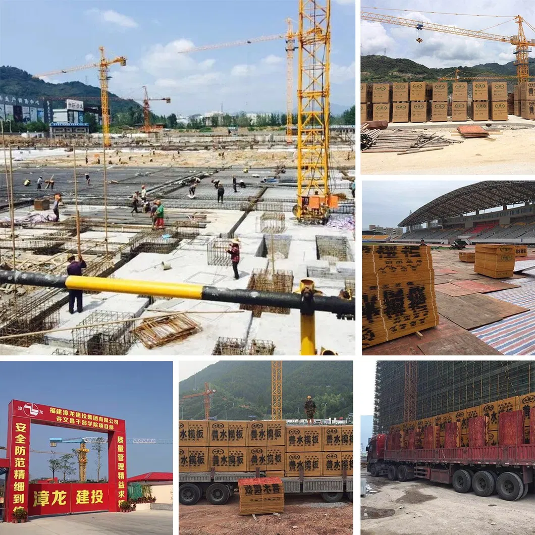 Greentrend WBP Finger Joint Construction Plywood Plywood Film Faced Plywood