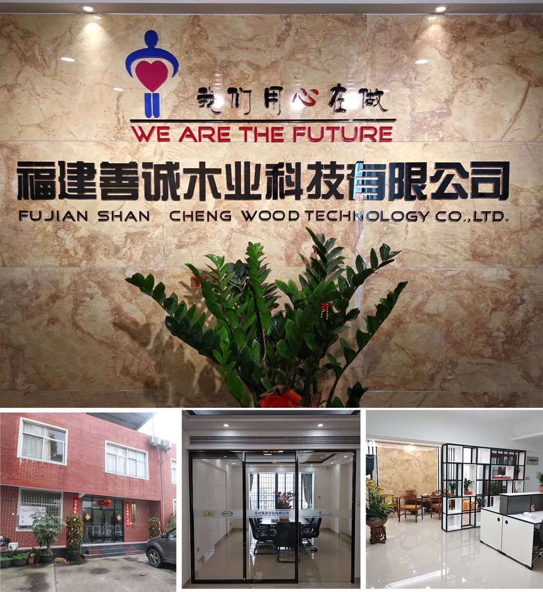 Greentrend WBP Finger Joint Construction Plywood Plywood Film Faced Plywood