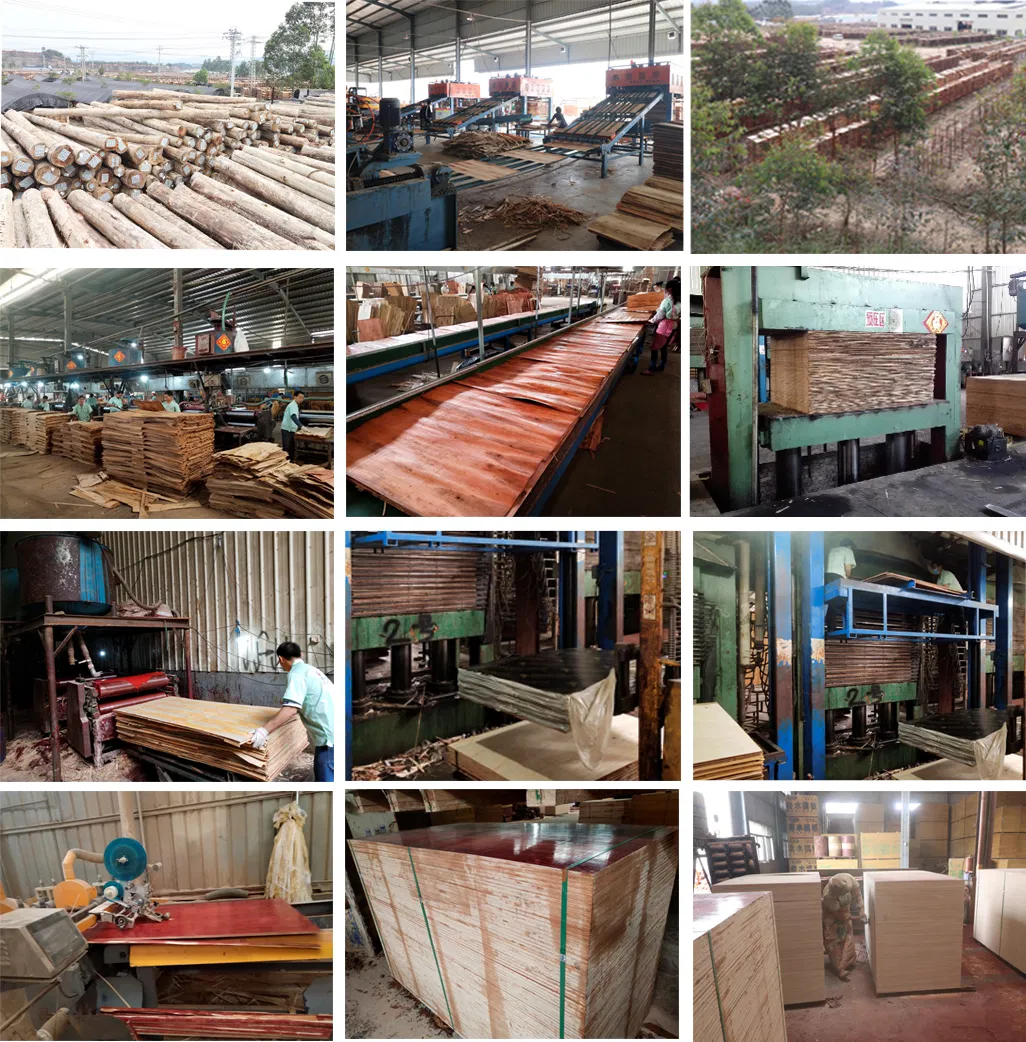 Greentrend WBP Finger Joint Construction Plywood Plywood Film Faced Plywood
