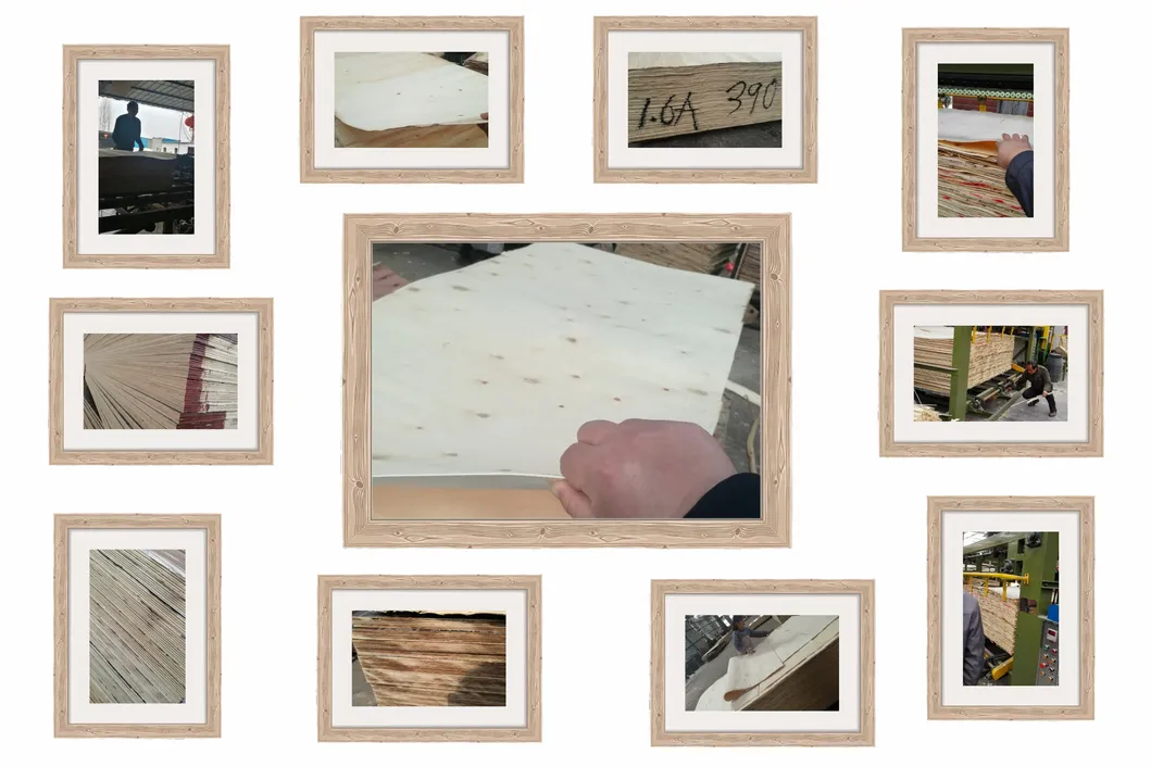 Hardwood Core Plywood WBP Glue Brown Film First Grade 1220*2440 Size