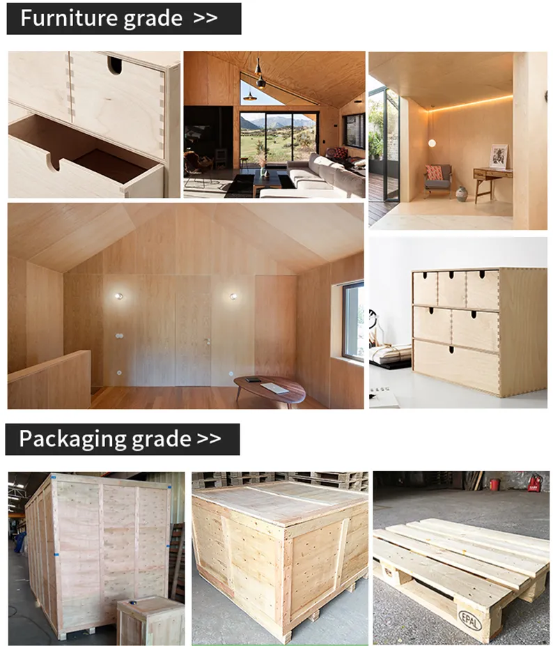 Home Decoration 1220 X 2440 Commercial Plywood Bb / Cc Grade Poplar Core Pine / Okoume / Birch / Bintangor Plywood for Furniture Indoor