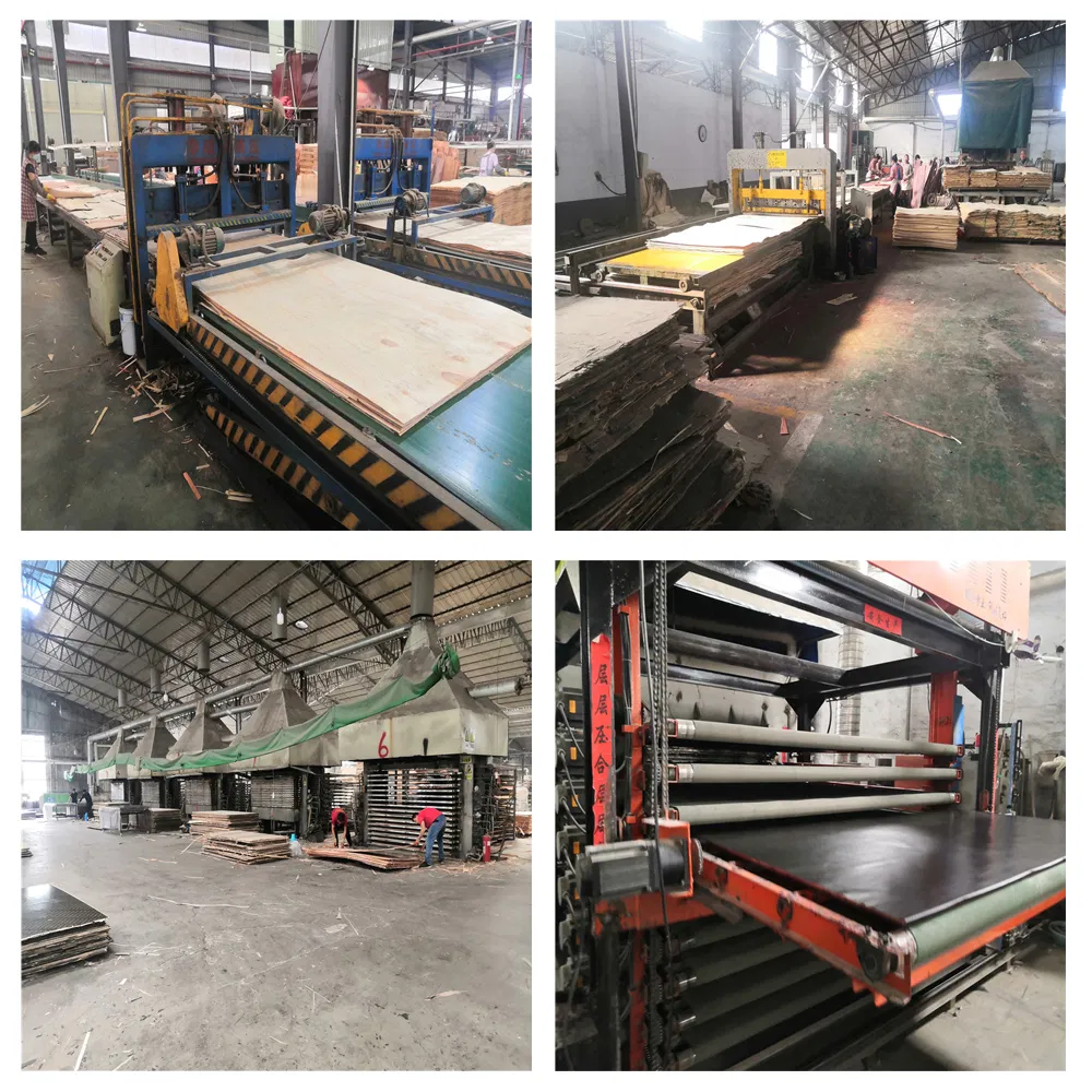 Hot Sales Building Material Shuttering Finger Jointed / Fresh Poplar Core Dynea Film 18mm Plastic Film Faced Plywood for Construction