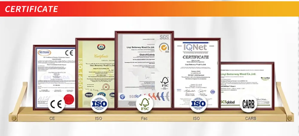 Hot Sales Building Material Shuttering Finger Jointed / Fresh Poplar Core Dynea Film 18mm Plastic Film Faced Plywood for Construction