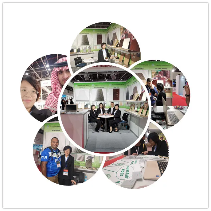 ISO9001, American Carb, Ce 4*8 2-6mm Poplar, Birch, Pine, Maple, Hardwood Commercial Plywood