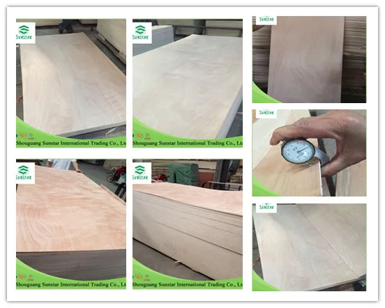 ISO9001, American Carb, Ce 4*8 2-6mm Poplar, Birch, Pine, Maple, Hardwood Commercial Plywood