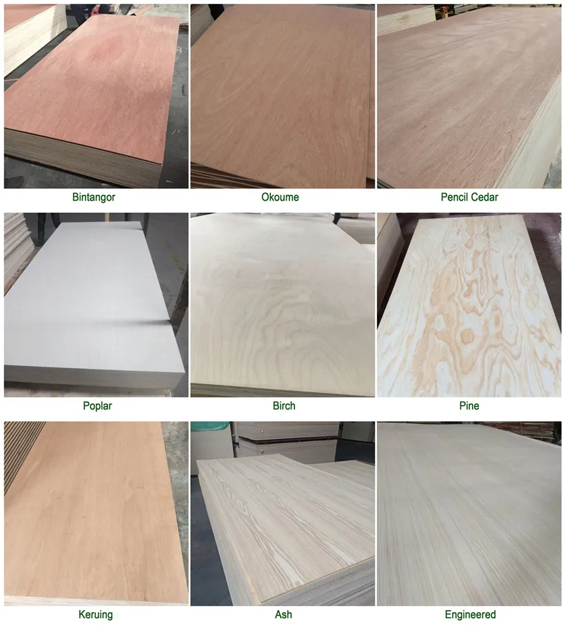 Manufactory Poplar/Okoume Venerr Commercial Plywood for Furniture