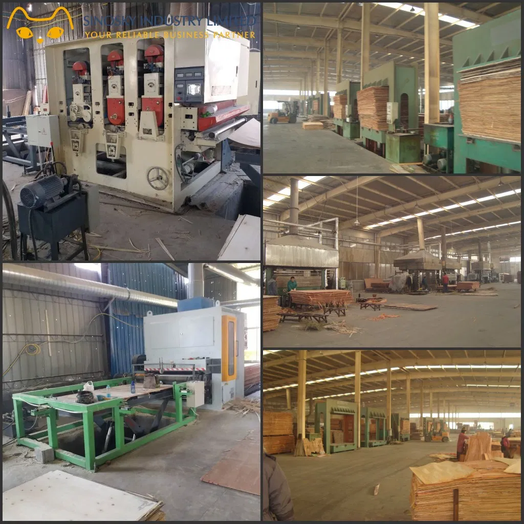 Marine Plex 9mm 12mm 15mm 18mm Plywood