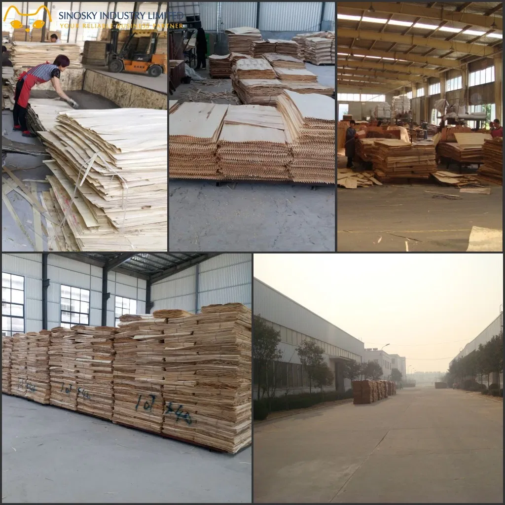 Marine Plex 9mm 12mm 15mm 18mm Plywood