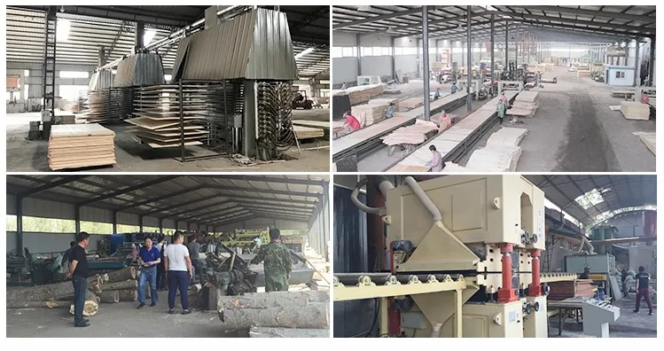 Marineplex Film Film Faced Plywood for Construction and Shuttering