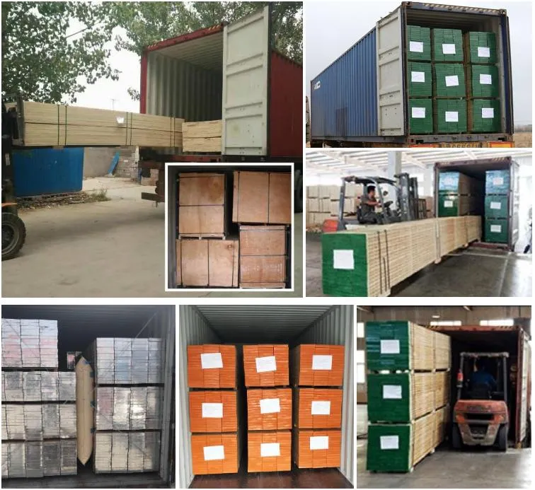 Melamine WBP Phenolic Glue H Beam Scaffolding