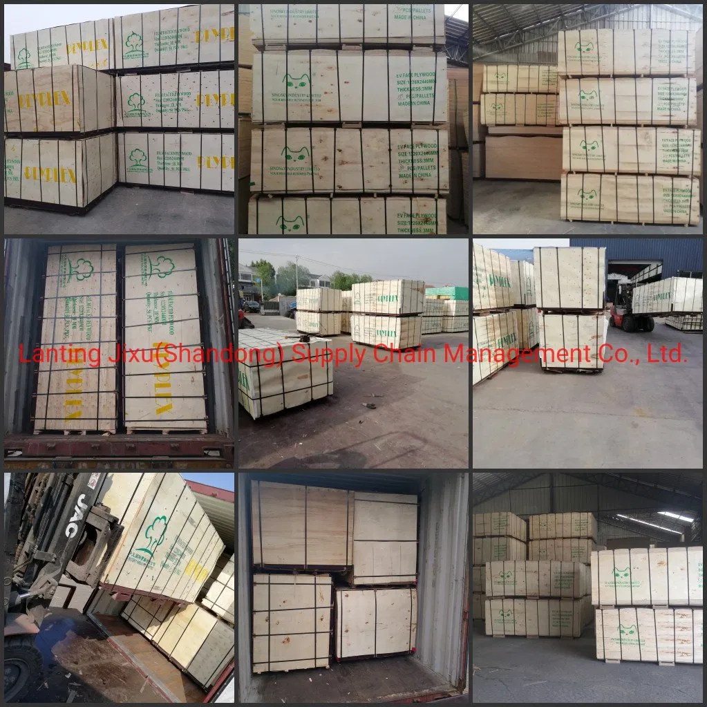 Mr/ Bwr /Bwp Grade Plywood, Okoume Plywood