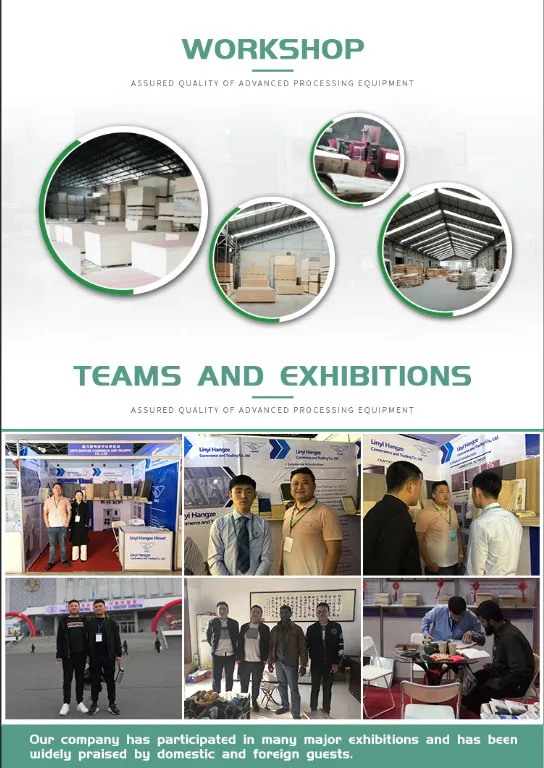 Okoume/Bintangor/Poplar/Birch/Pine/Hardwood Plywood 1220*2440mm for Decoration