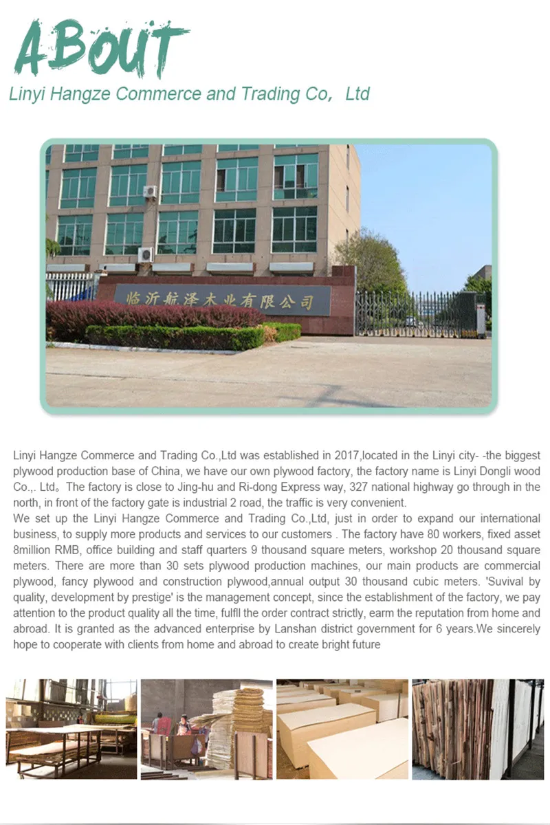 Okoume/Bintangor/Poplar/Birch/Pine/Hardwood Plywood 1220*2440mm for Decoration