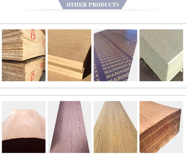 Oriented Strand Board (OSB) for Russian Market From China Linyi