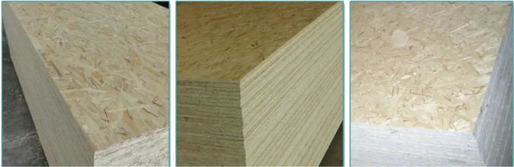 Oriented Strand Board (OSB) for Russian Market From China Linyi
