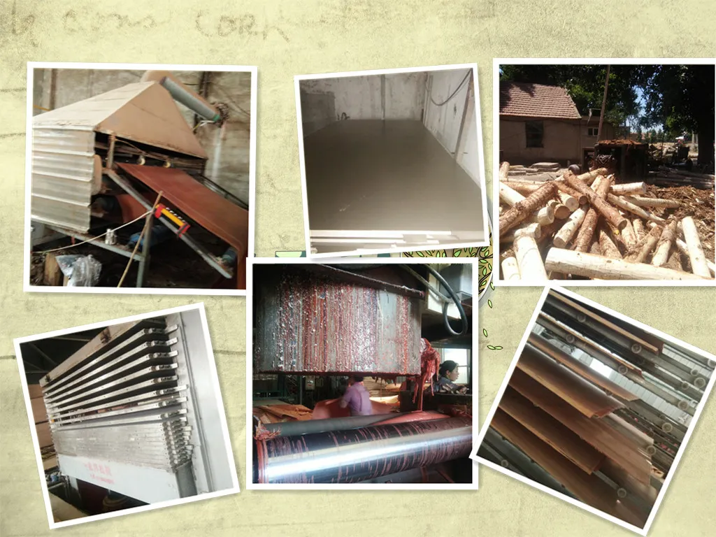 Plb or Okume Wood Veneer for Laminated Board