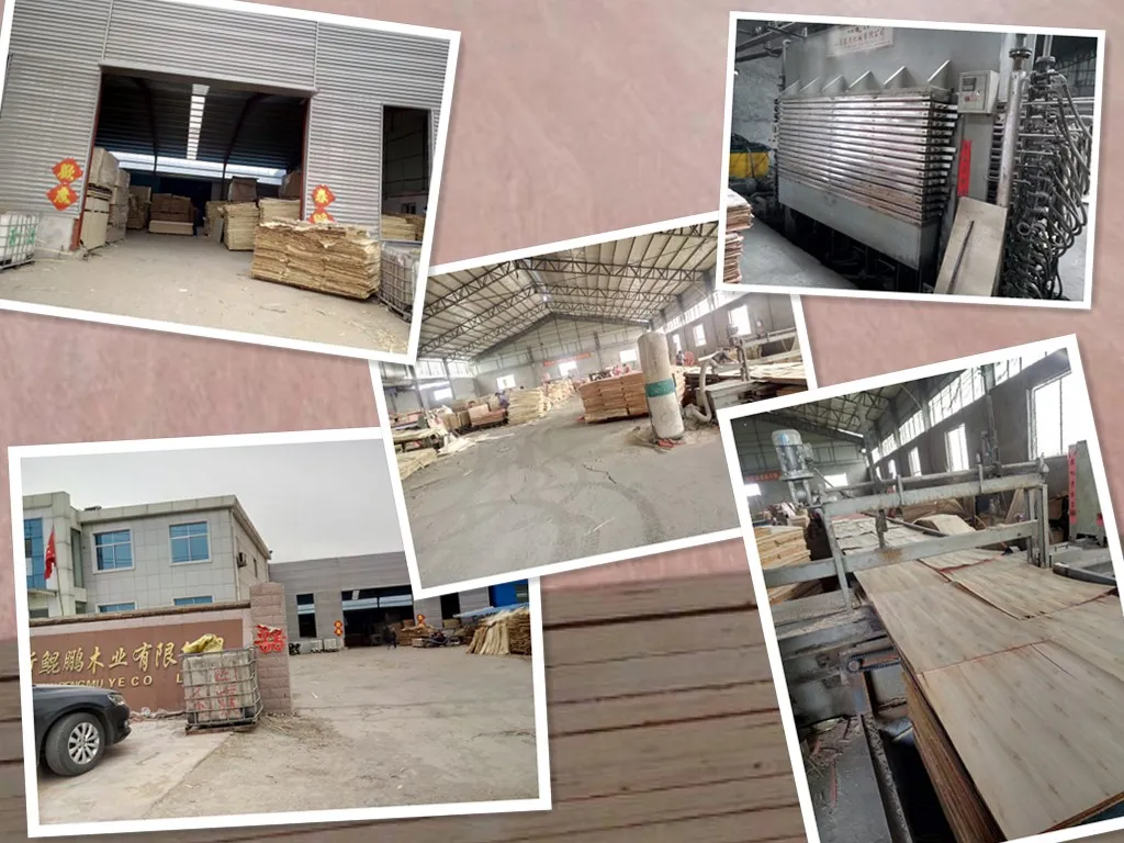Poplar Core Okoume Faced Commercial Furniture Plywood