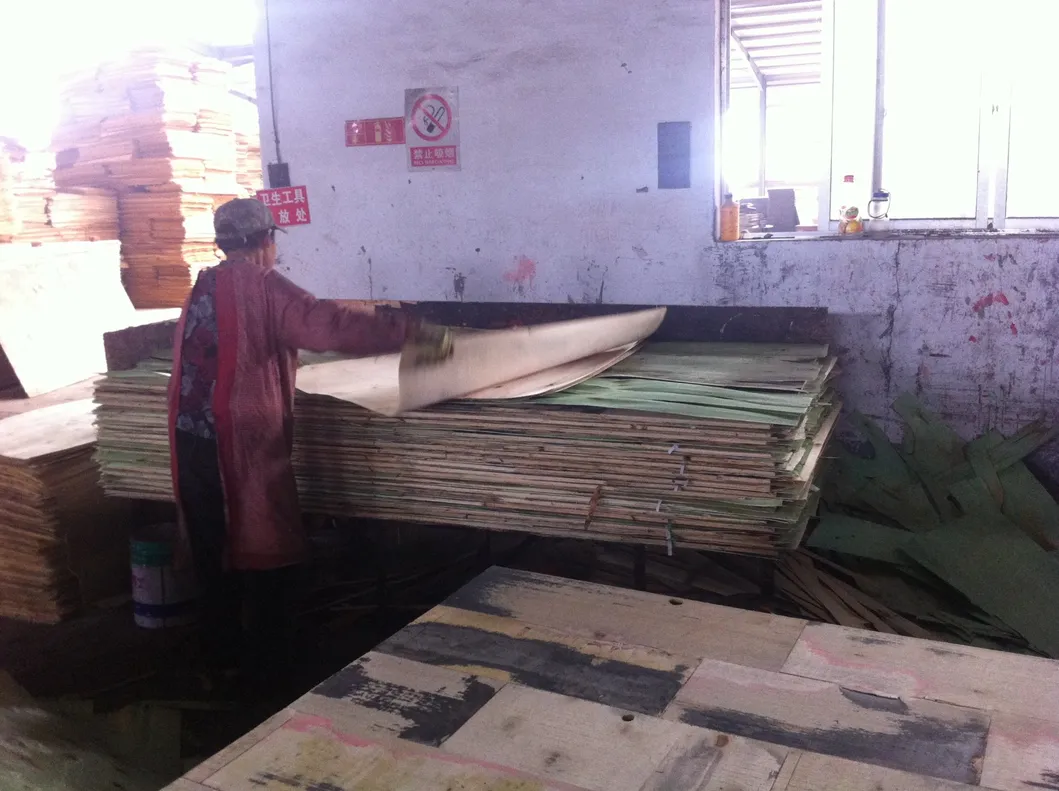 Poplar Marine Plywood for Construction