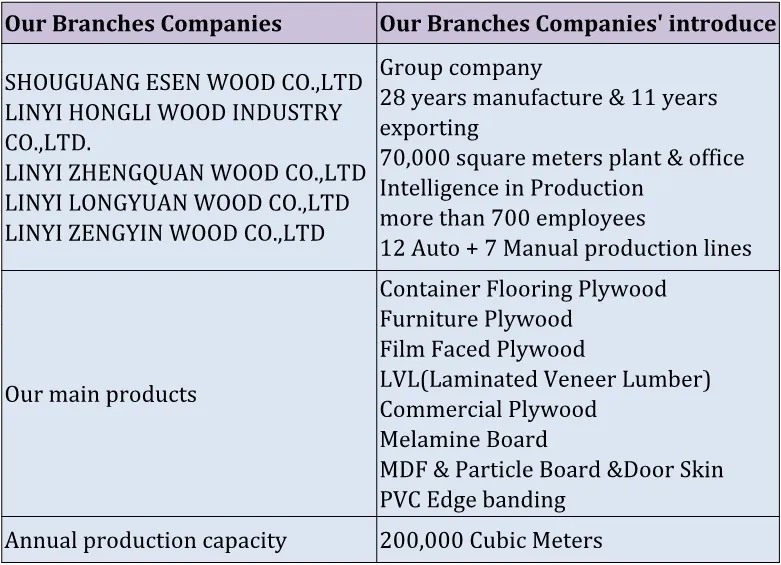 Structural Film Faced Plywood As6669 Australian Standard