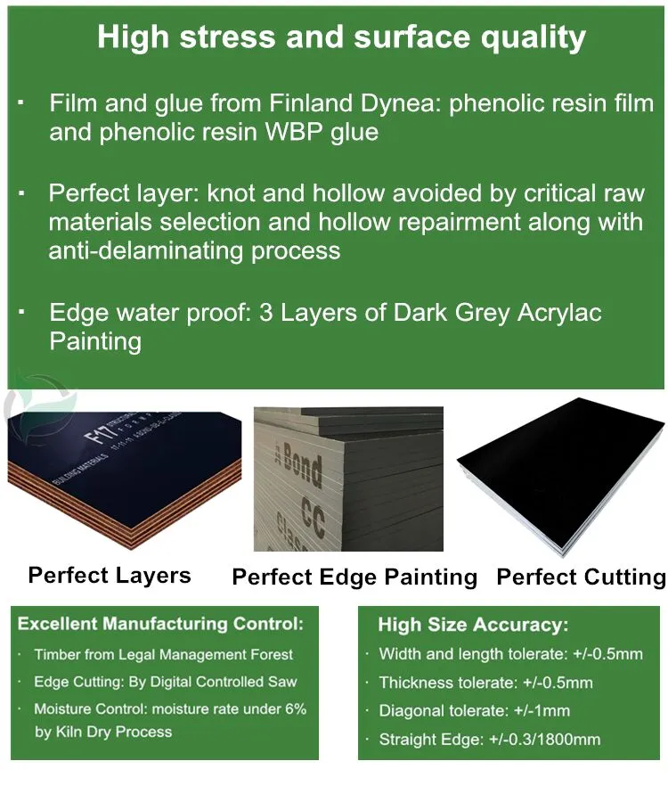 Structural Plywood F17 Formply Black Film Faced Plywood According to As6669