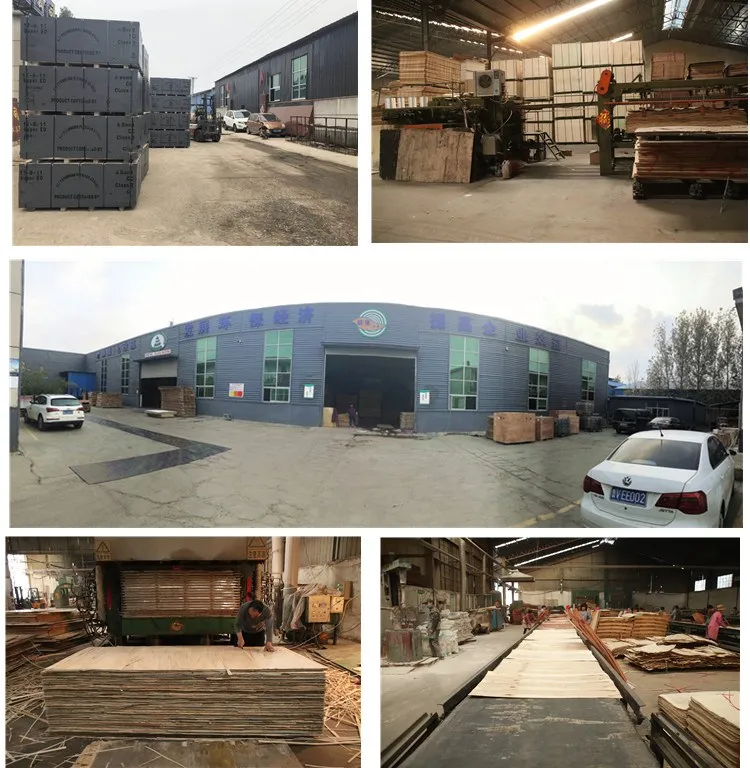 Structural Plywood F17 Formply Black Film Faced Plywood According to As6669