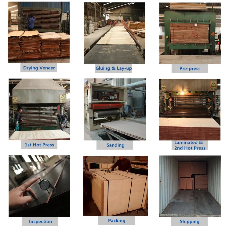 Structural Plywood F17 Formply Black Film Faced Plywood According to As6669