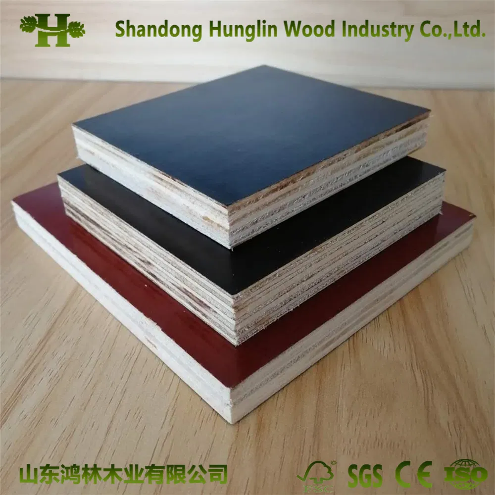 Waterproof Black Film Faced Plywood / Construction Shuttering Plywood 1220 X 2440 X 18 mm